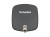 DigiDish45 - czasza (grafit).jpg